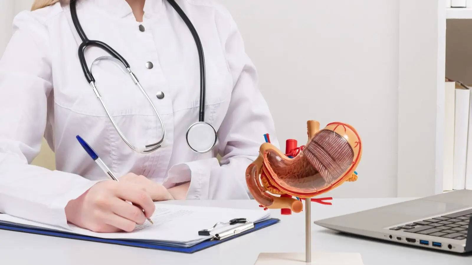 Medico che compila una cartella clinica accanto a un modello anatomico dello stomaco
