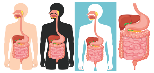 gastric sleeve vs gastric bypass recovery time